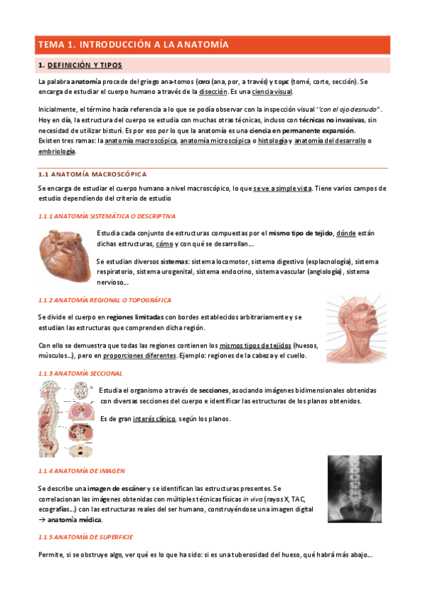 Miniatura del documento Tema-1-Introduccion-a-la-anatomia.pdf