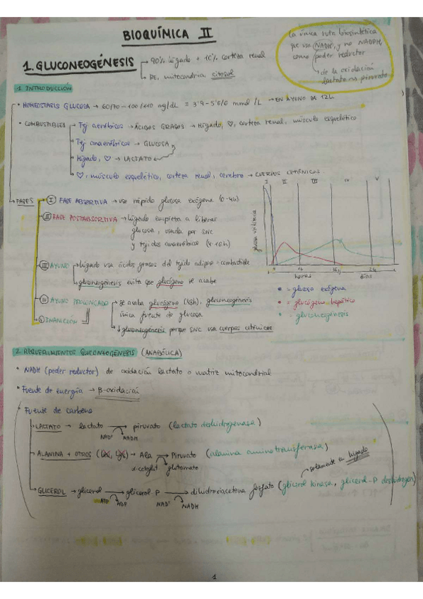 Miniatura del documento apuntes-bq2.pdf