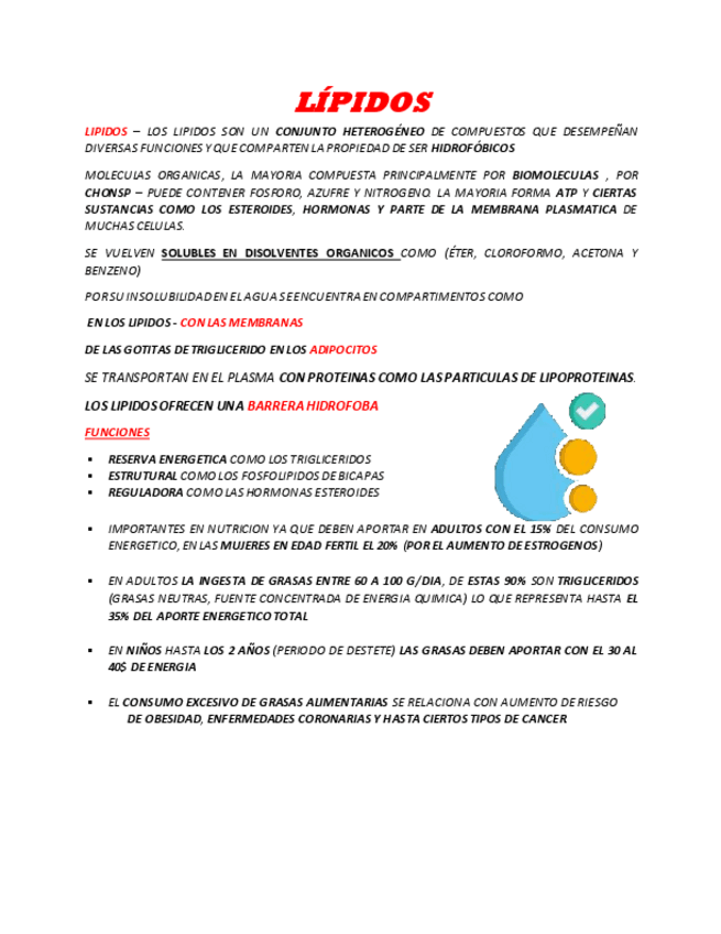 Miniatura del documento Lipidos.pdf
