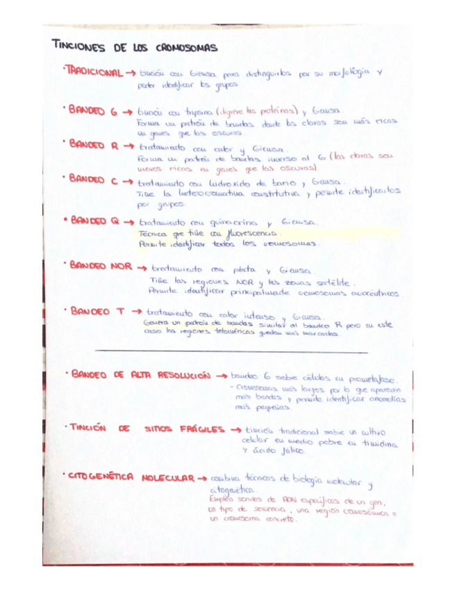 Miniatura del documento Tinciones-cromosomas.pdf