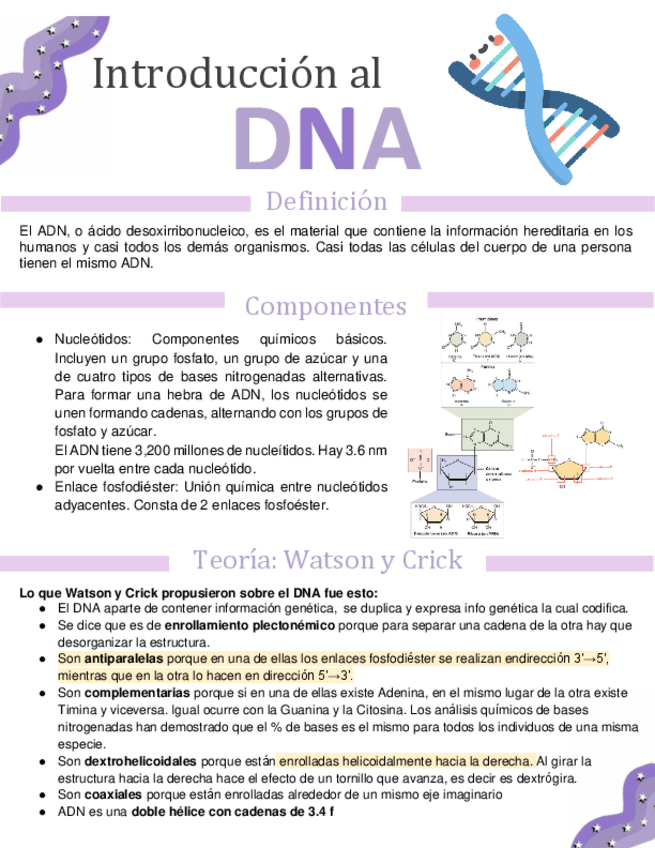Miniatura del documento DNA-APUNTEe.pdf