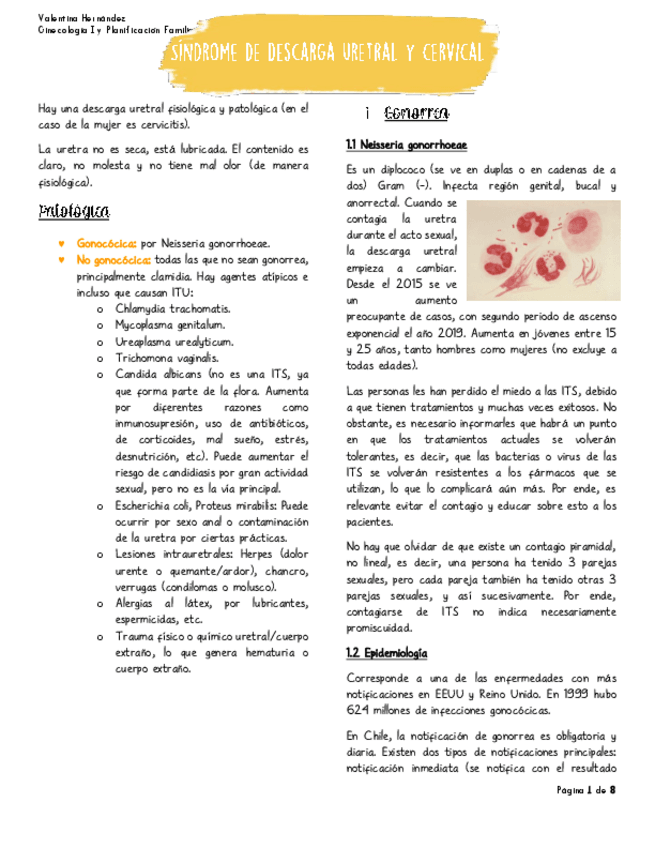 Miniatura del documento Sindrome-de-descarga-uretral-y-cervical.pdf