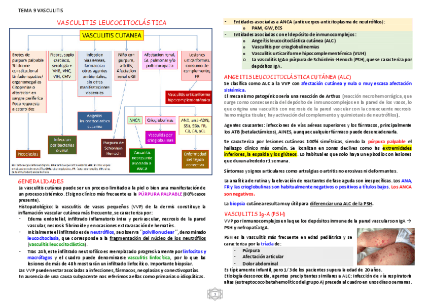 Miniatura del documento VASCULITIS-LEUCOCITOCLASTICA.pdf