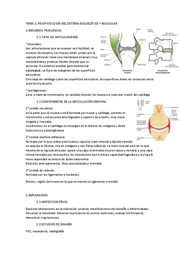 Miniatura del documento tema-1.pdf
