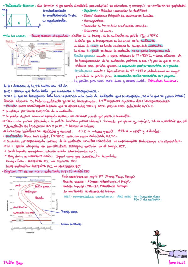 Miniatura del documento APUNTES-TRATAMIENTOS-TERMICOS.pdf