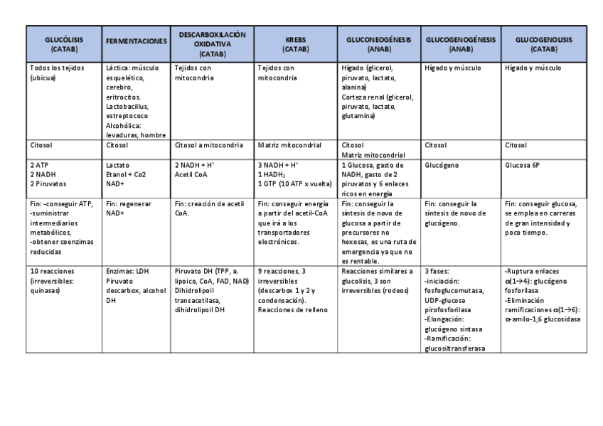 Miniatura del documento Esquemas-Rutas-Glucidos.pdf