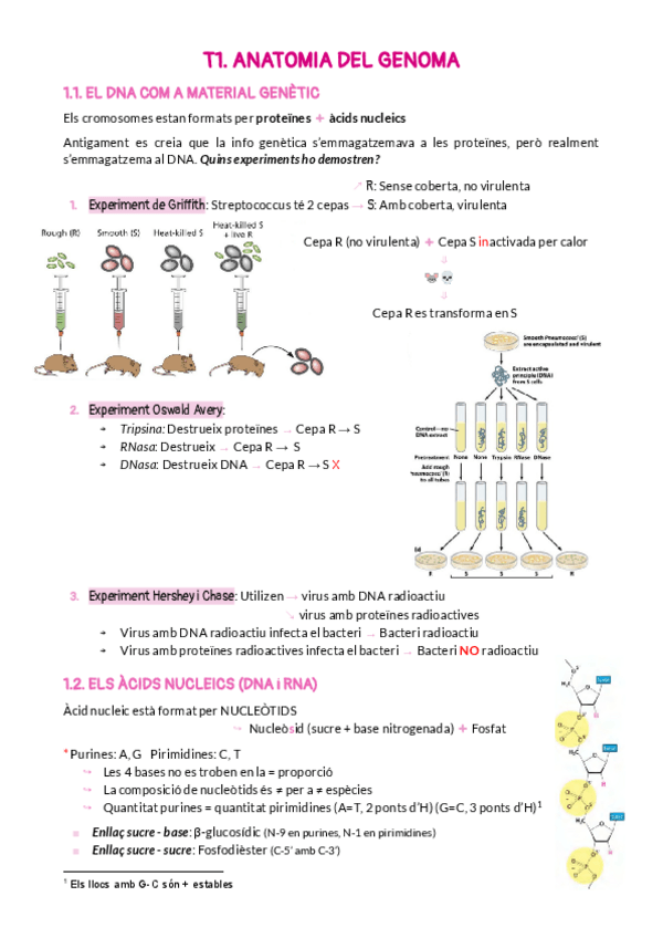 Miniatura del documento BLOC1.pdf