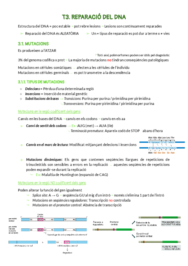 Miniatura del documento REPARACIO-DEL-DNA-1.pdf