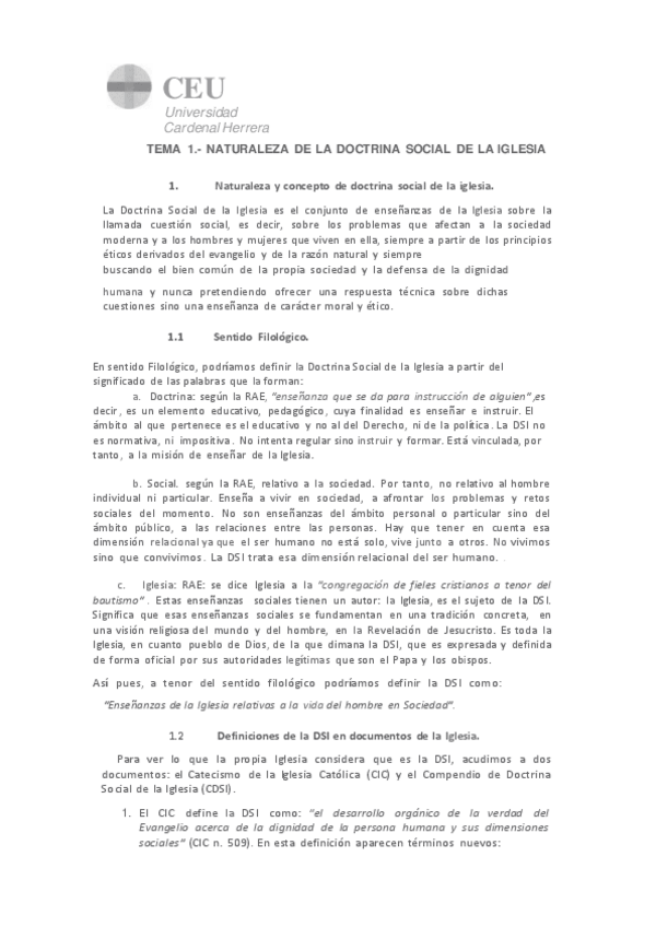 Miniatura del documento TEMA-1-DSI-NATURALEZA-Y-CONCEPTO-DSI1.pdf