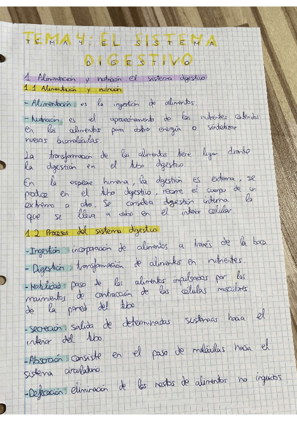 Miniatura del documento Sistema-digestivo.pdf