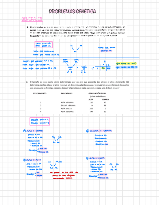 Miniatura del documento Problemas-Genetica-.pdf