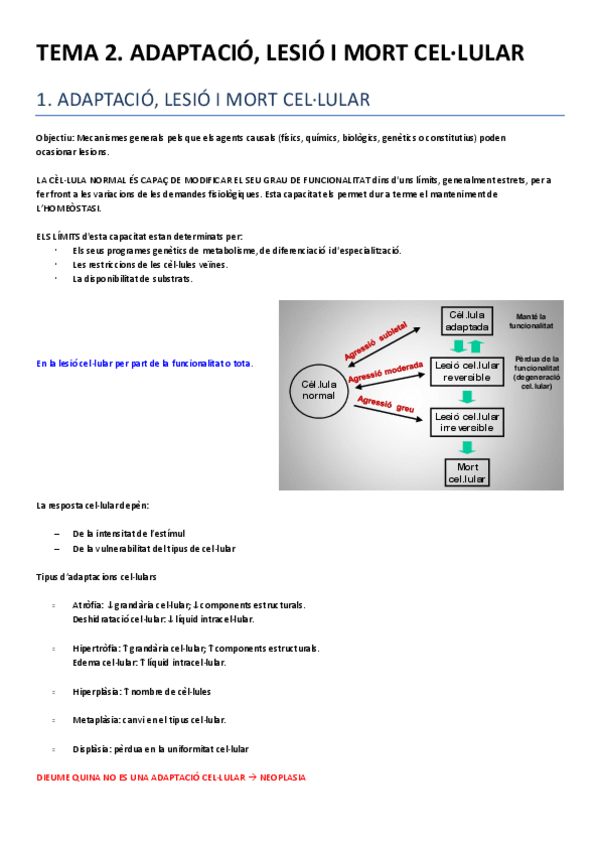 Miniatura del documento TEMA 2..pdf