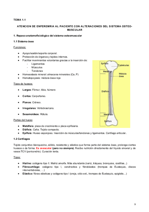 Miniatura del documento 1.1 Alteración en el sistema ósea-muscu
