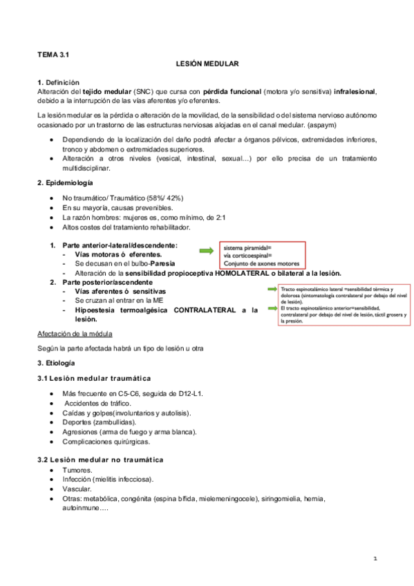Miniatura del documento 3.1 Lesión medular