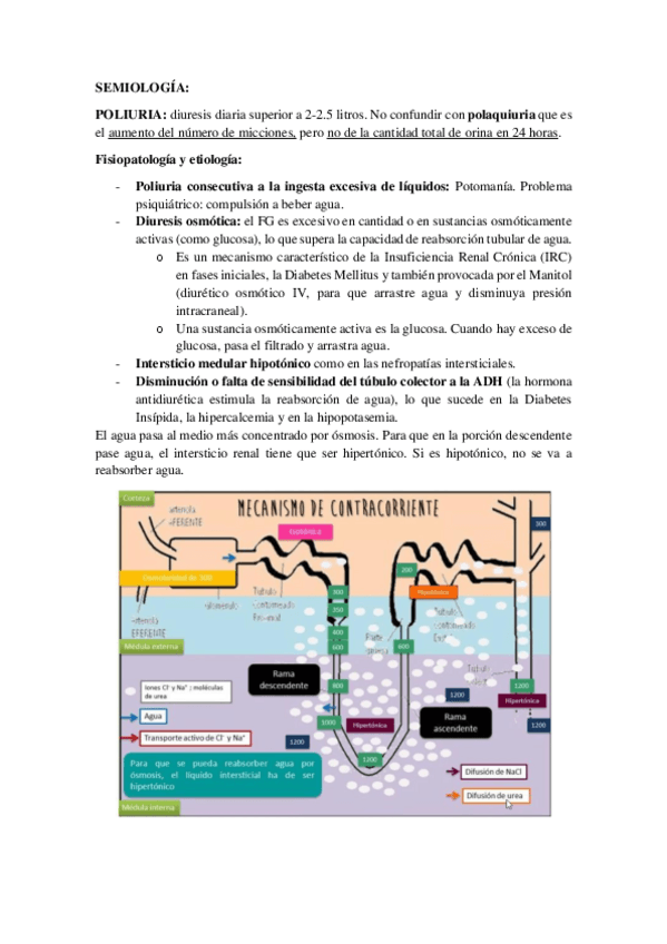 Miniatura del documento SEMIOLOGIA.pdf
