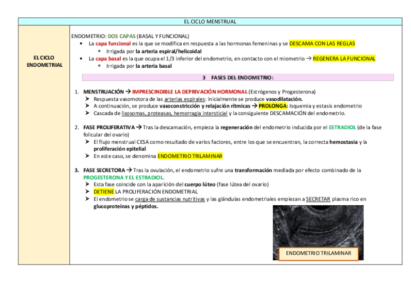 Miniatura del documento TEMA-1.pdf
