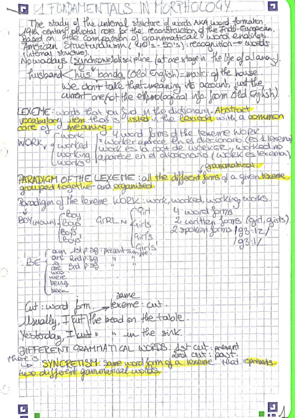 Miniatura del documento morfologia-faltan-2-temas.pdf