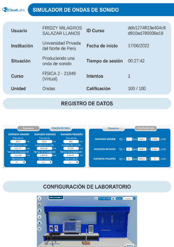 Miniatura del documento REPORTE-N8-Produciendo-una-onda-de-sonido.pdf