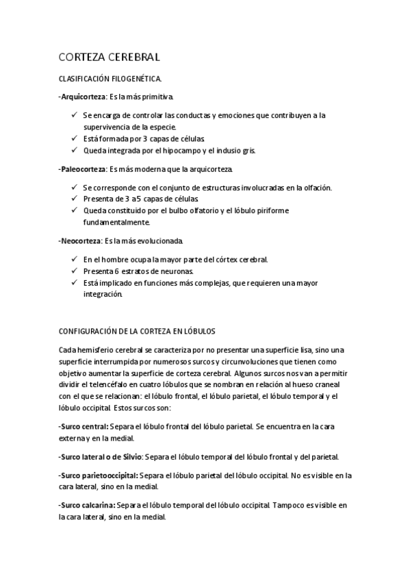 Miniatura del documento CORTEZA CEREBRAL.pdf