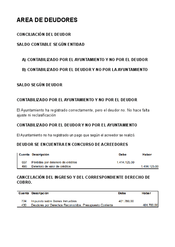 Miniatura del documento AREA-DE-DEUDORES.pdf