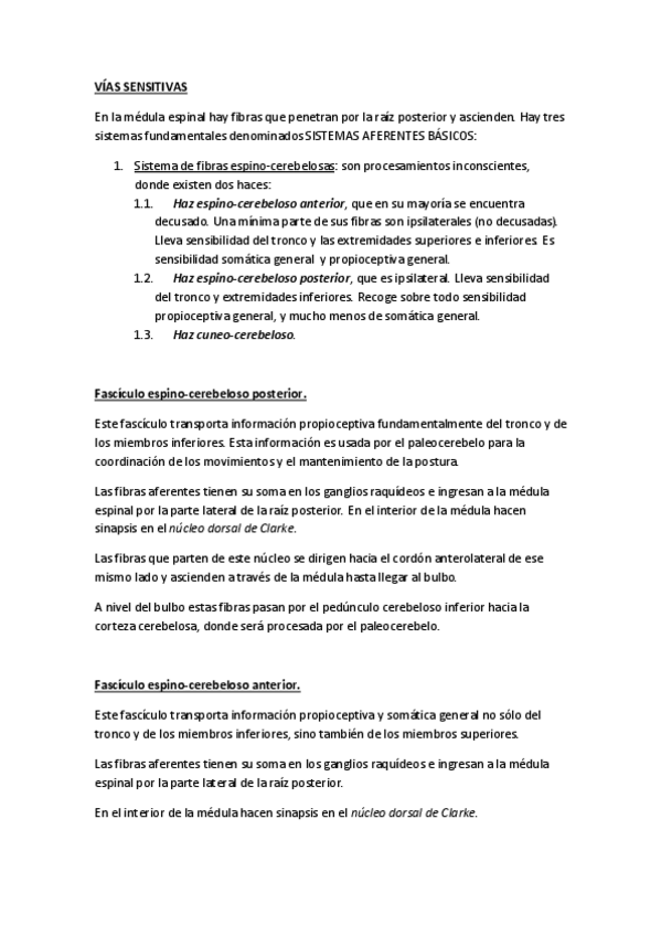 Miniatura del documento VÍAS SENSITIVAS.pdf