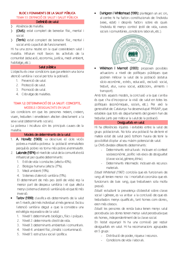 Miniatura del documento Resums-Salut-Publica.pdf