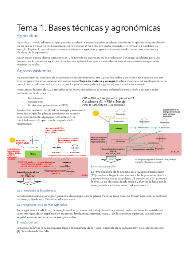 Miniatura del documento TEMA-1.pdf