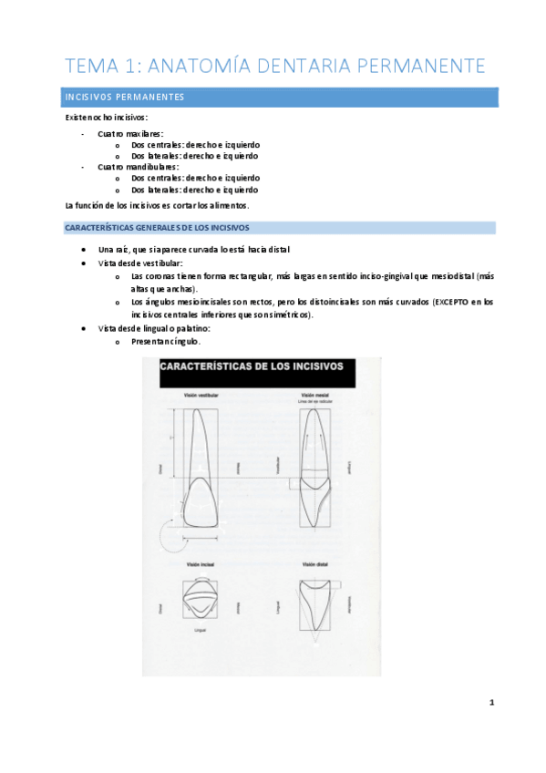 Miniatura del documento Magistral Fácil.pdf