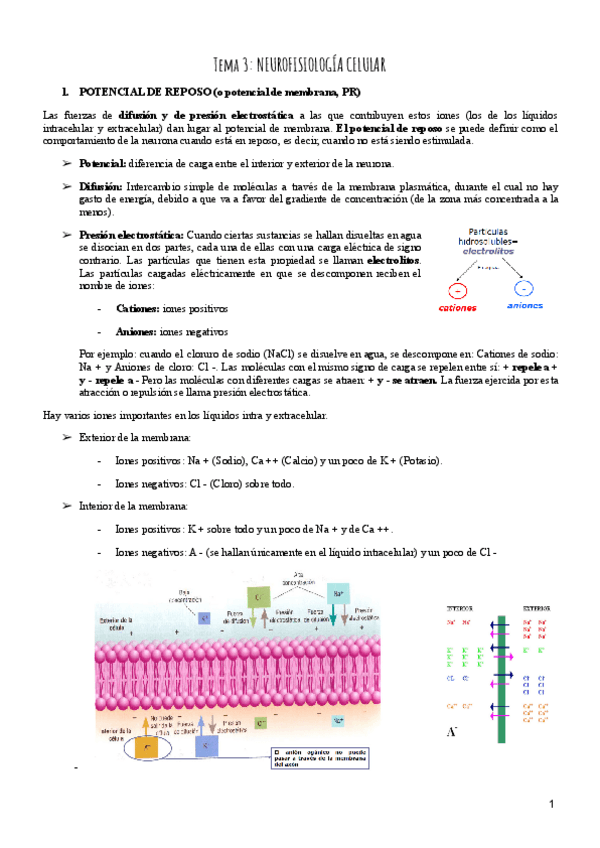 Miniatura del documento Tema-3-Psicobiologia.pdf