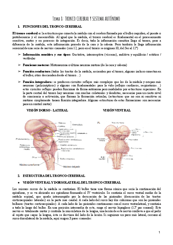 Miniatura del documento Tema-8-Psicobiologia.pdf
