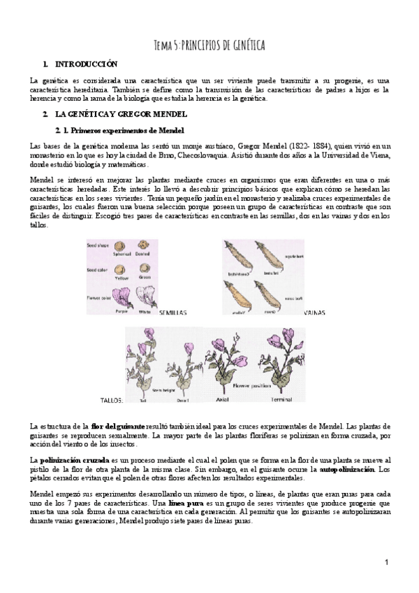 Miniatura del documento Tema-5-Psicobiologia.pdf