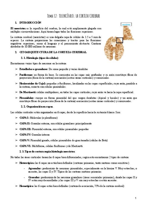 Miniatura del documento Tema-12-Psicobiologia.pdf