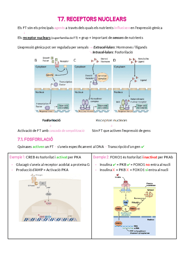 Miniatura del documento 7.pdf