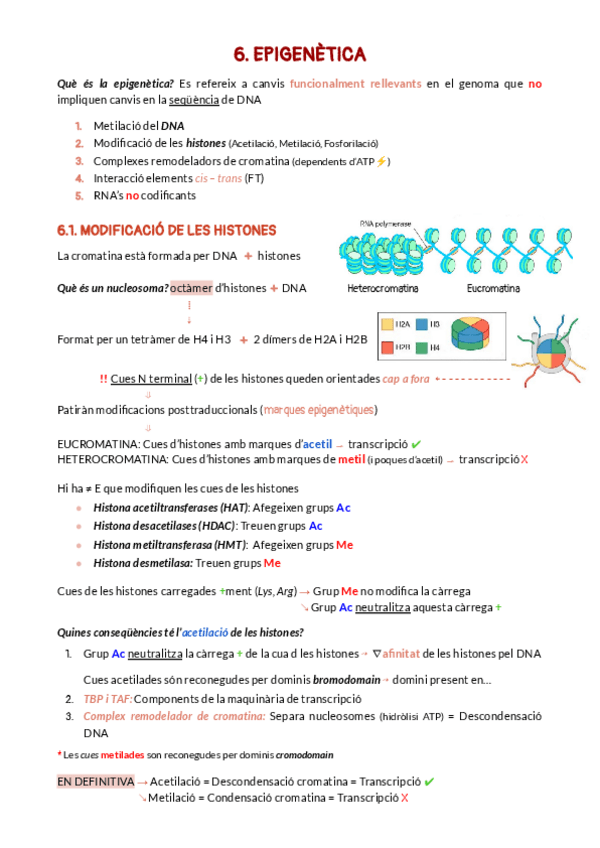 Miniatura del documento 6.pdf