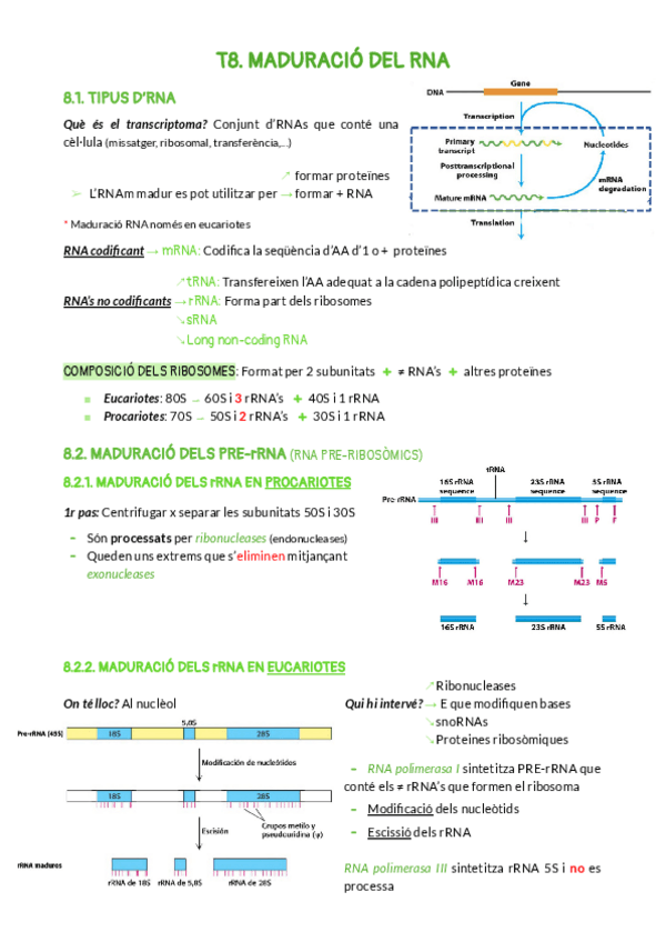 Miniatura del documento 8.pdf