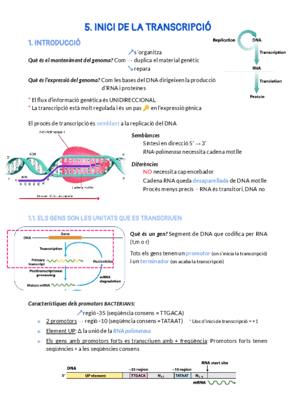 Miniatura del documento 5.pdf