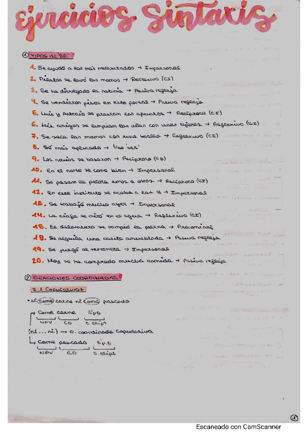 Miniatura del documento Practica-Morfologia-y-Sintaxis.pdf