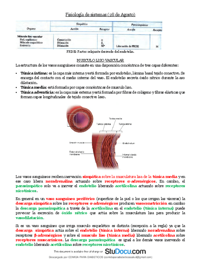 Miniatura del documento Clase-9-sistema-nervioso-simpatico-y-parasimpatico.pdf