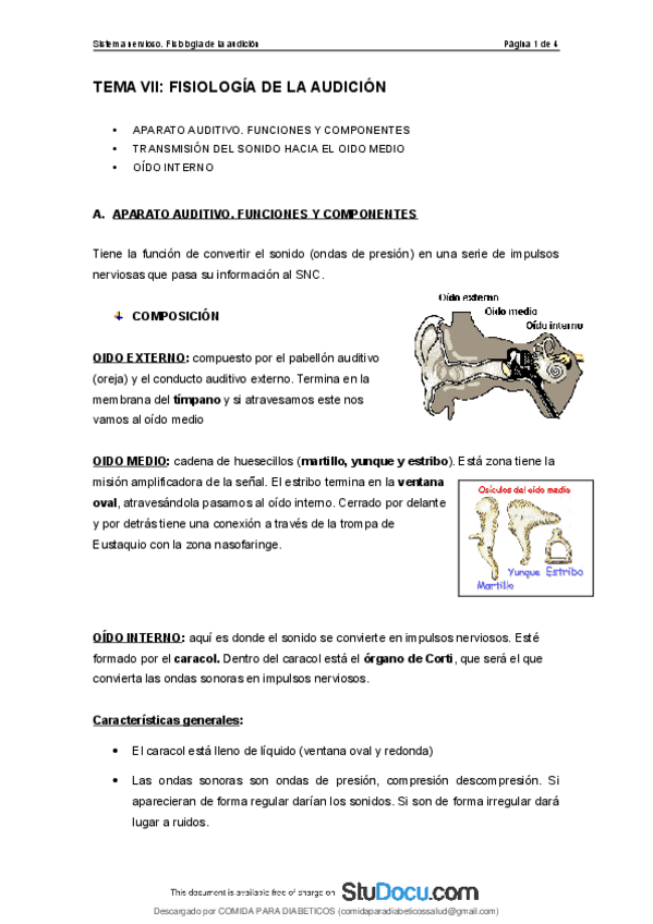 Miniatura del documento Apuntes-Fisiologia-Audicion.pdf