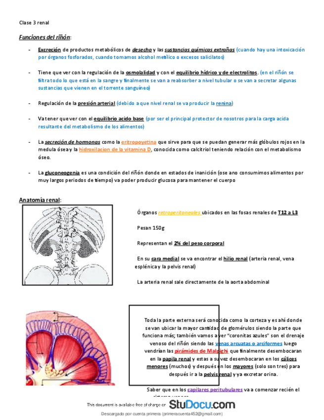 Miniatura del documento Funciones-del-rinon-este-es-un-resumen-del-la-clase-de-nefrologia.pdf