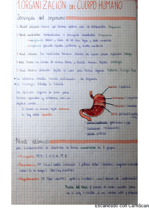 Miniatura del documento Tema-1.pdf