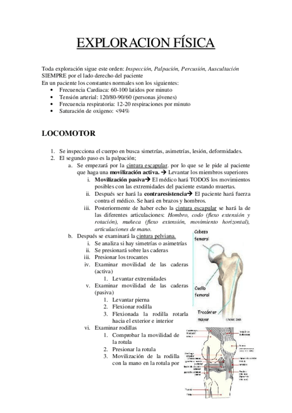 Miniatura del documento EXPLORACION-FISICA.docx
