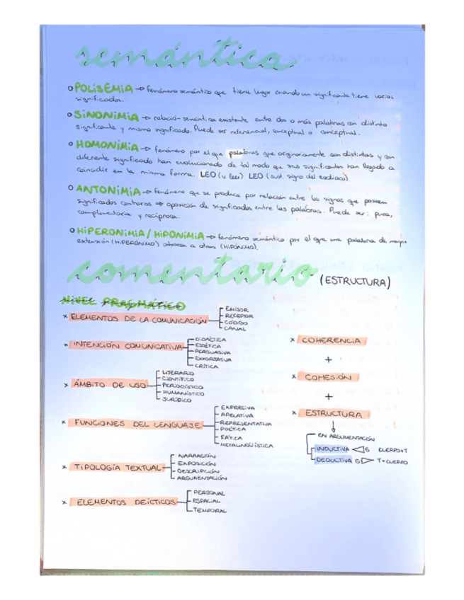 Miniatura del documento Resumen comentario de texto y semántica para evau.pdf