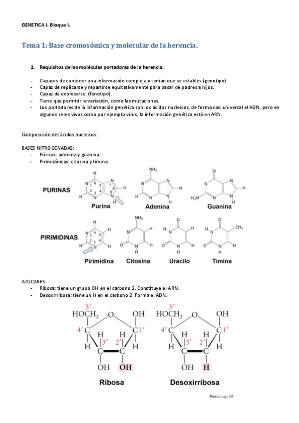 Miniatura del documento GENETICA I bloque I tema 1.pdf