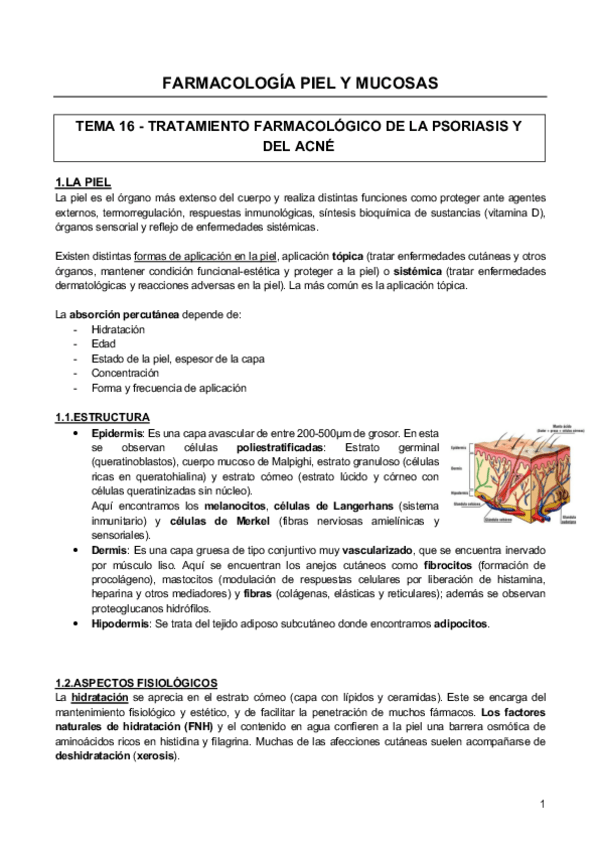 Miniatura del documento PIEL Y MUCOSAS.pdf