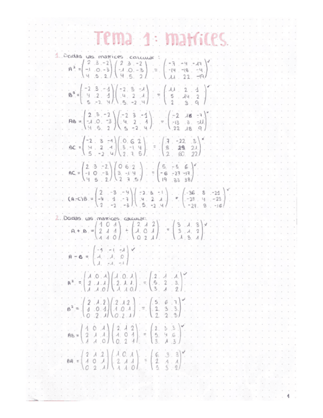 Miniatura del documento Boletin-1.pdf