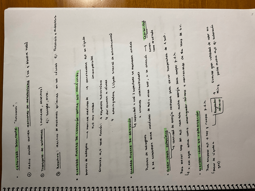 Miniatura del documento 03CC3D75-D5D7-494C-906D-4135FC38F6DA.jpg