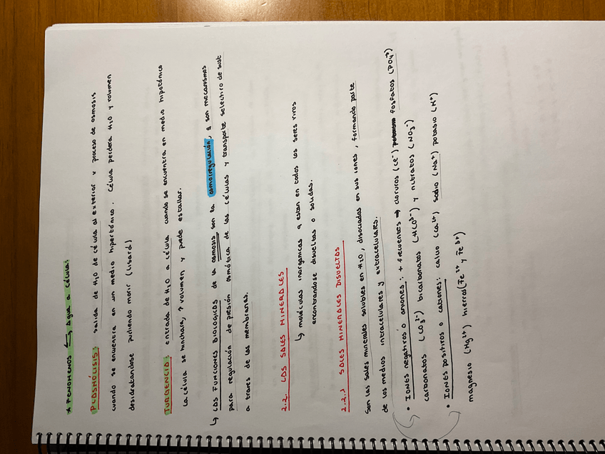 Miniatura del documento A1045217-5AD8-4D7D-8768-EB478E5CA666.jpg