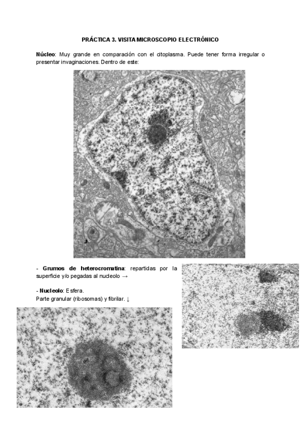 Miniatura del documento PRACTICA-3.pdf