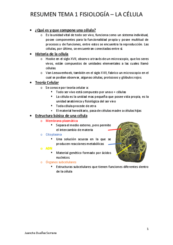Miniatura del documento RESUMENES-T1.pdf